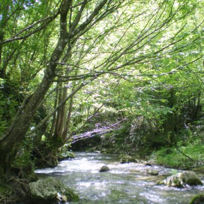 sponda del SImbrivio