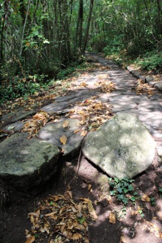 Via Sacra Monte Cavo